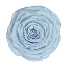 Load image into Gallery viewer, Preserved rose head in light blue
