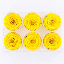 Load image into Gallery viewer, Preserved rose six pack in bright yellow
