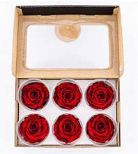 Load image into Gallery viewer, Preserved rose six pack in red
