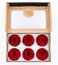 noscript-image-Rose Amor Large Preserved Rose Six Packs in Red